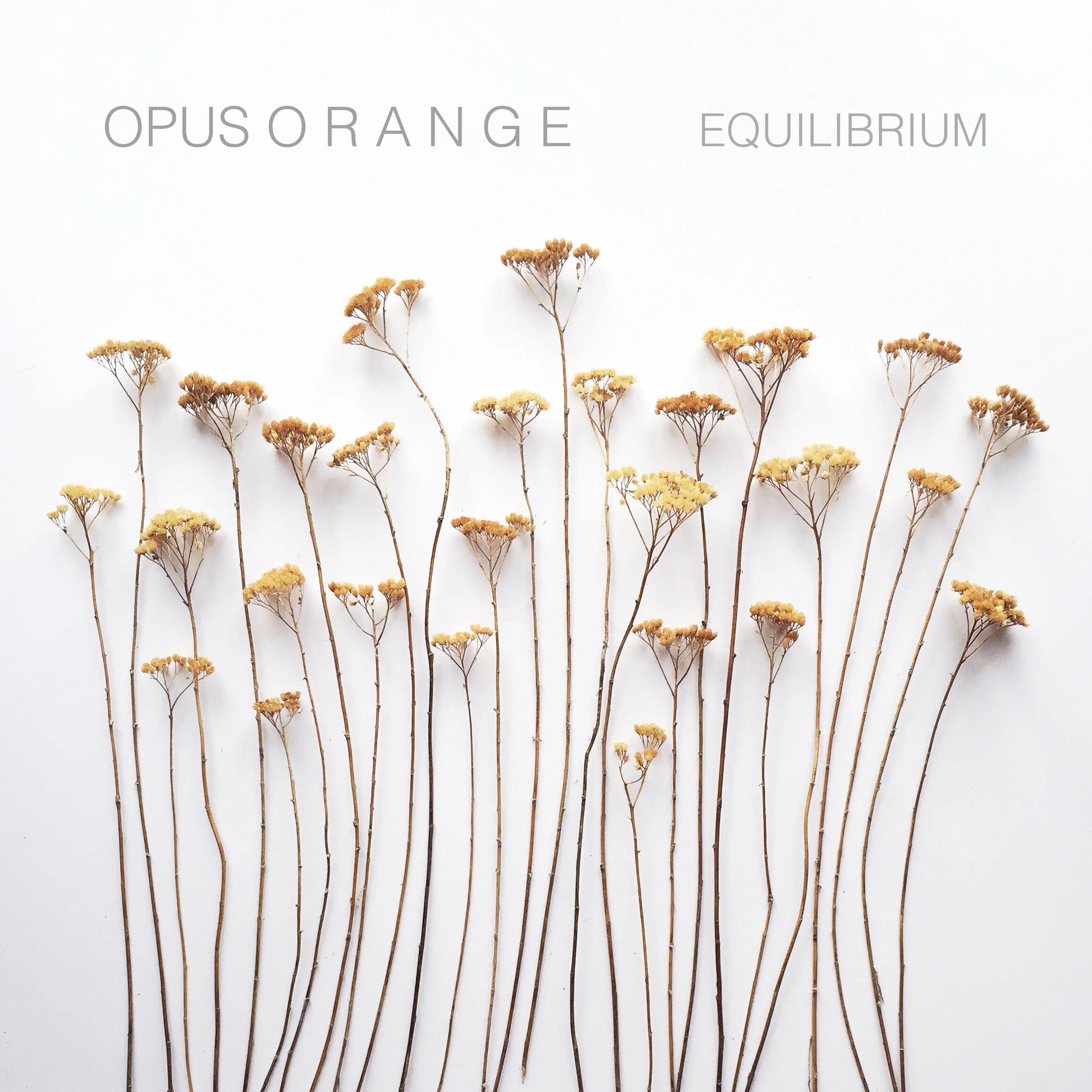 EQUILIBRIUM (2015) PURCHASE | iTunes | Bandcamp STREAM | Spotify | Soundcloud SHEET MUSIC