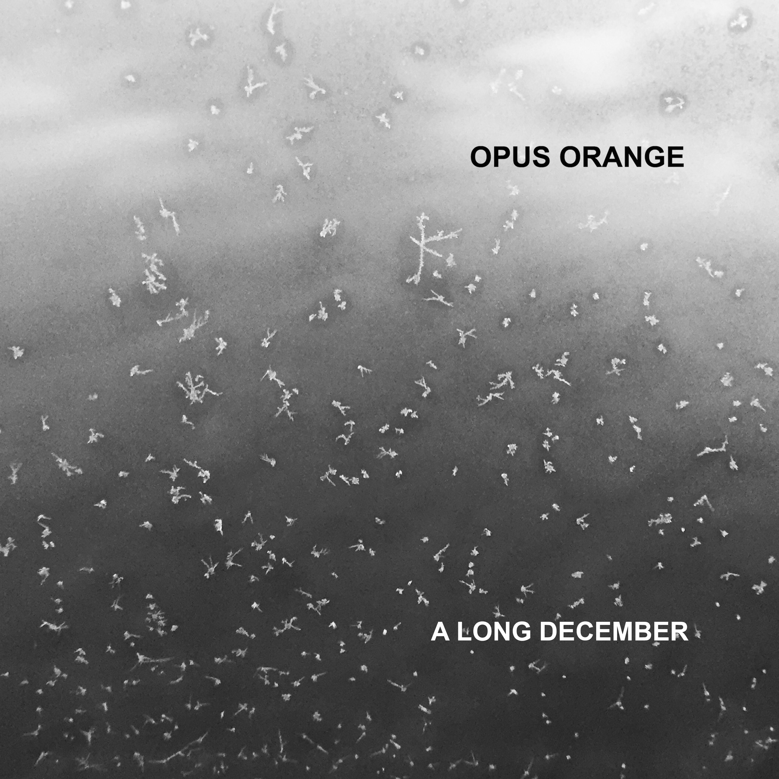 A LONG DECEMBER (2016) STREAM | Spotify | Apple Music | Soundcloud PURCHASE | Bandcamp | iTunes