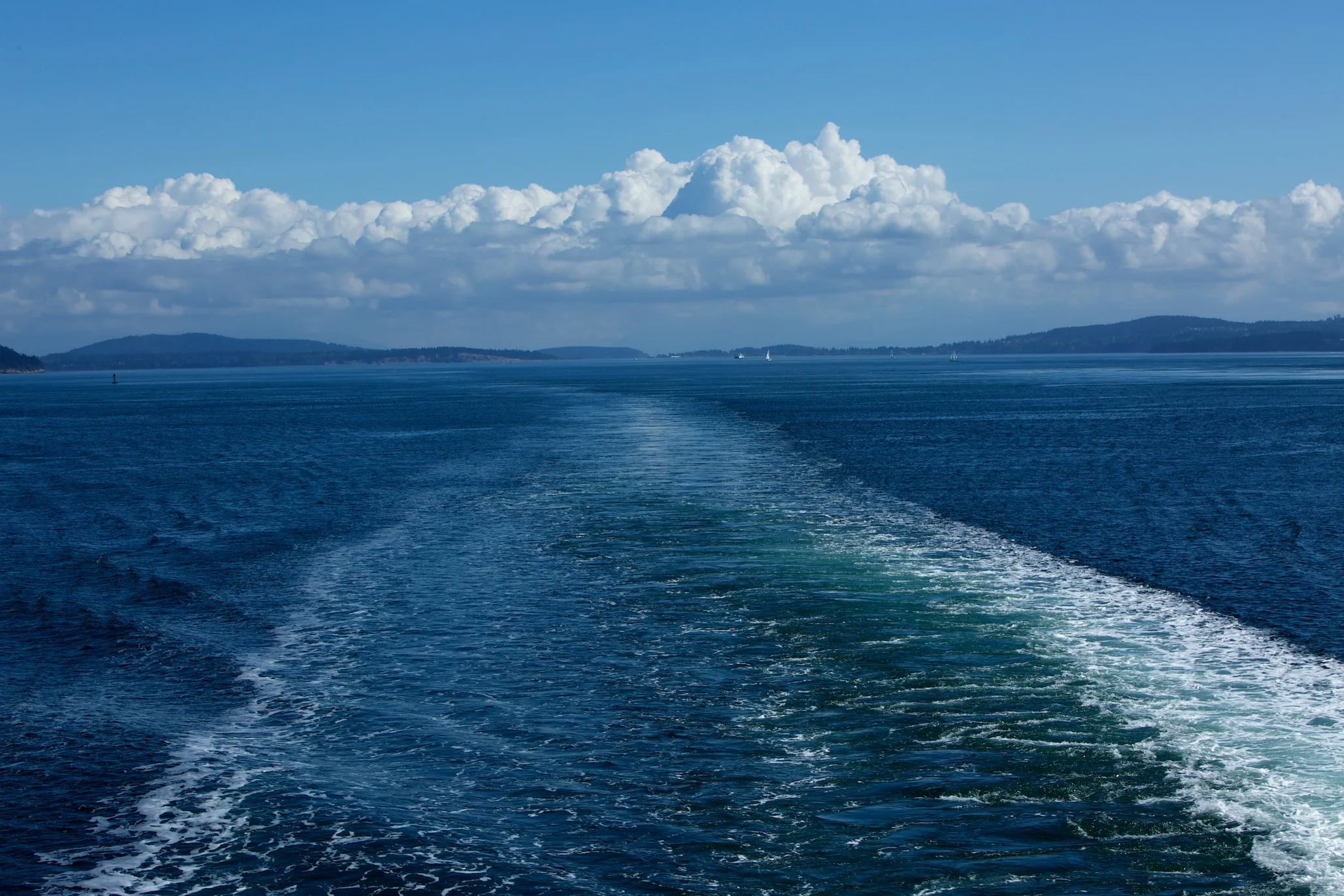 Matoso_20130918_42027.jpg