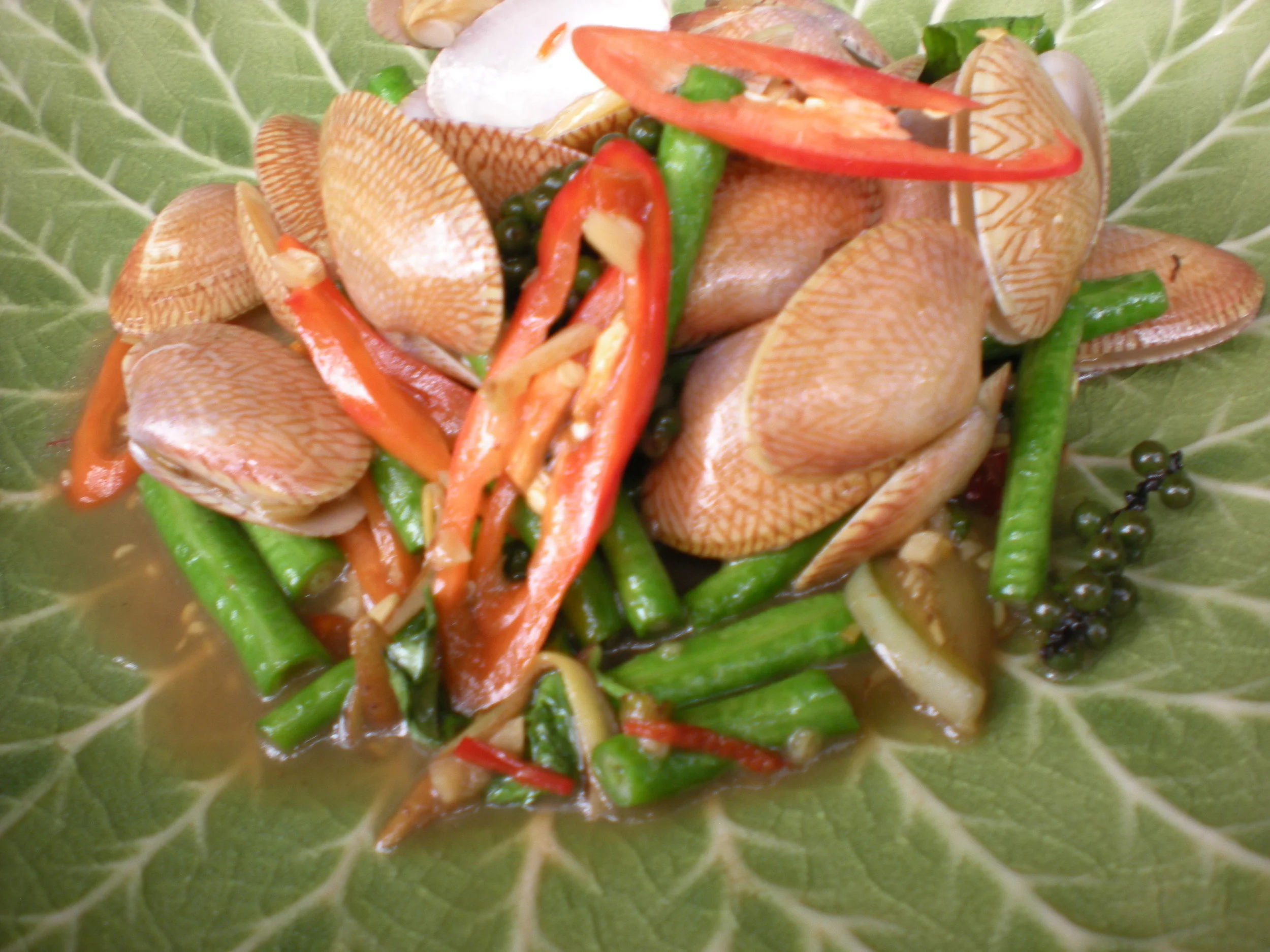 DSCN1667.JPG