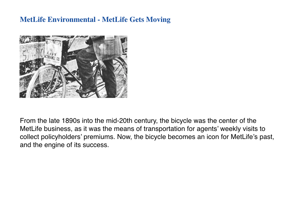 metLife Environmental_formattingFINAL.004.jpeg