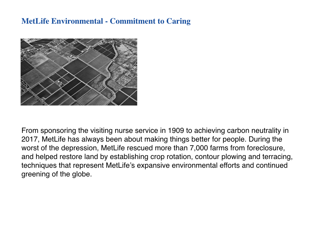 metLife Environmental_formattingFINAL.006.jpeg