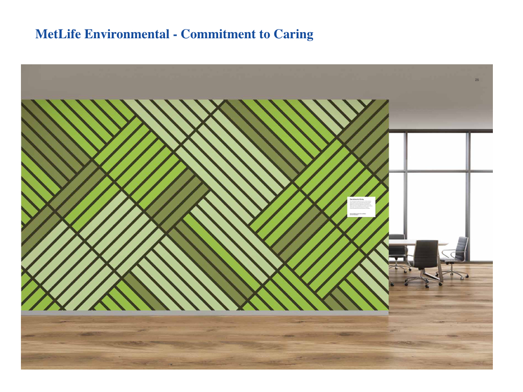 metLife Environmental_formattingFINAL.007.jpeg