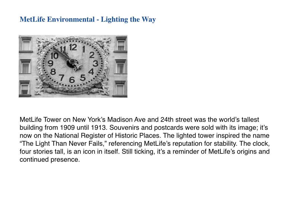 metLife Environmental_formattingFINAL.012.jpeg