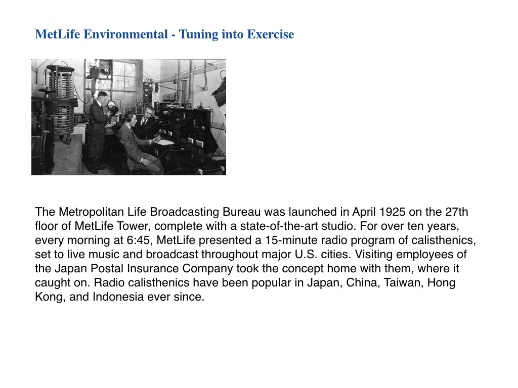 metLife Environmental_formattingFINAL.014.jpeg