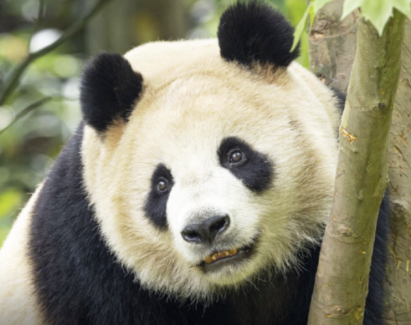 Screenshot 2026-01-29 at 10.31.00 PM.png