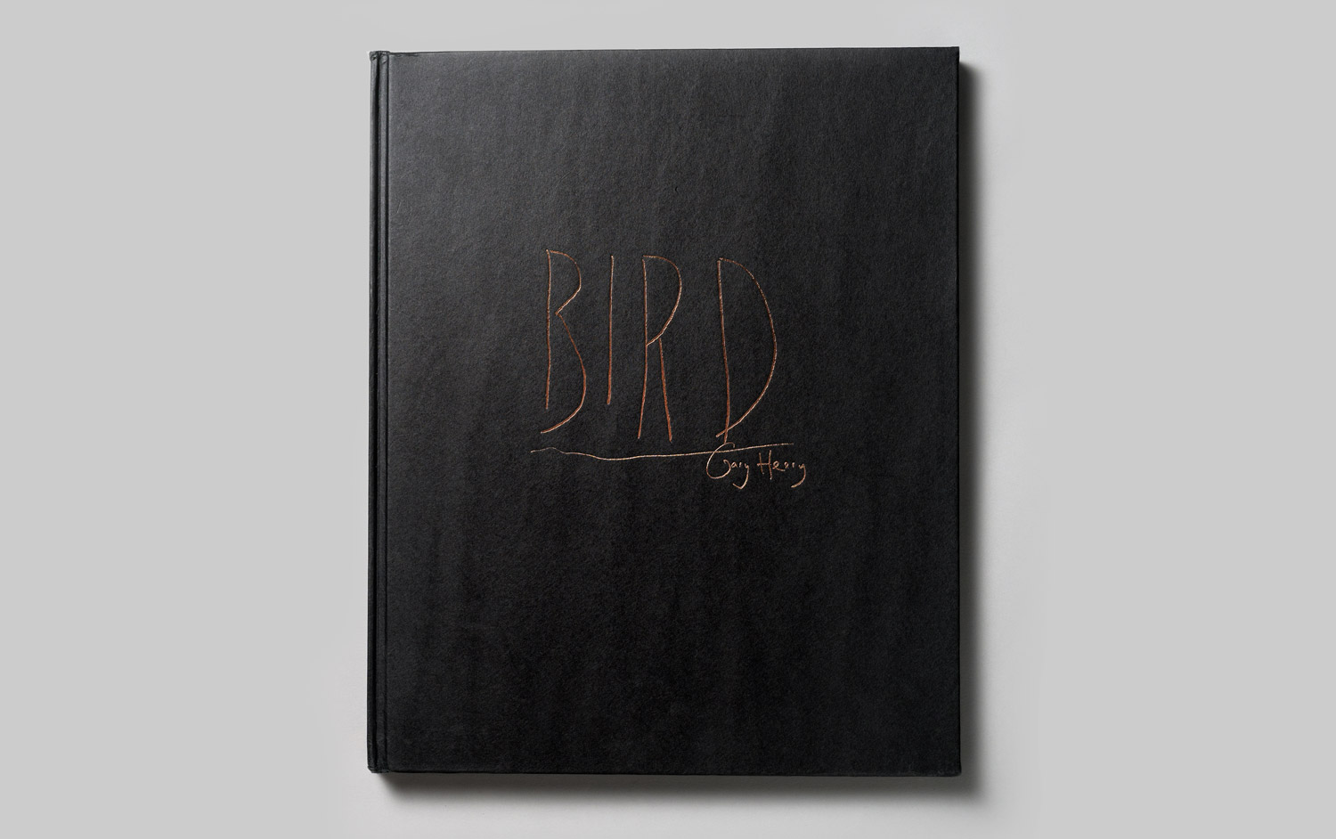 Gary-Heery-Bird-Front-Cover.jpg