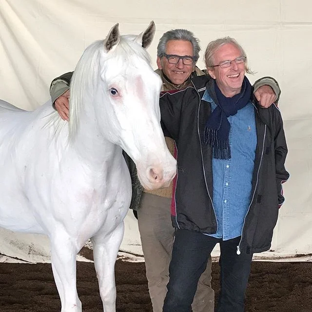 #electric art #cheeproductions #brucebigelow #franksinartrathehorse #stevecox