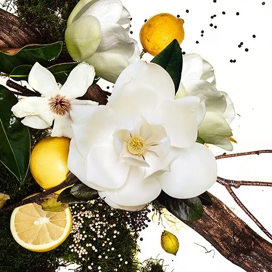 Grandiflora fragrance Sandrine launching now in Florence