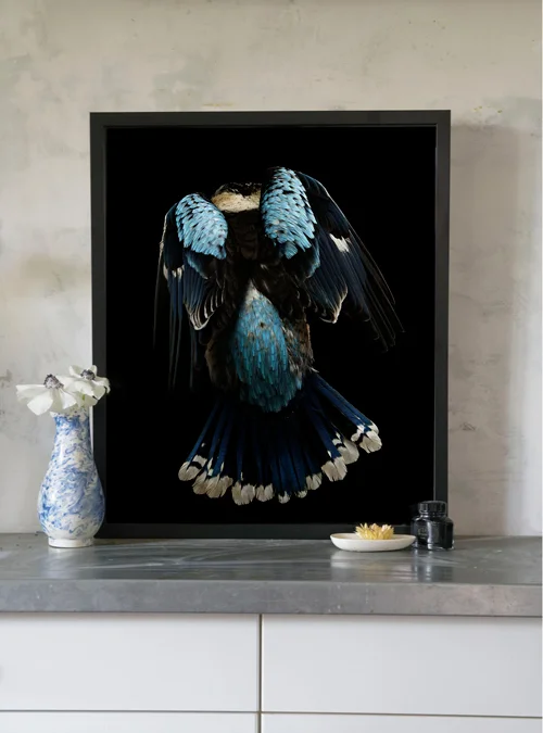 Gary_Heery_Kookaburra_Winged_insitu.jpg