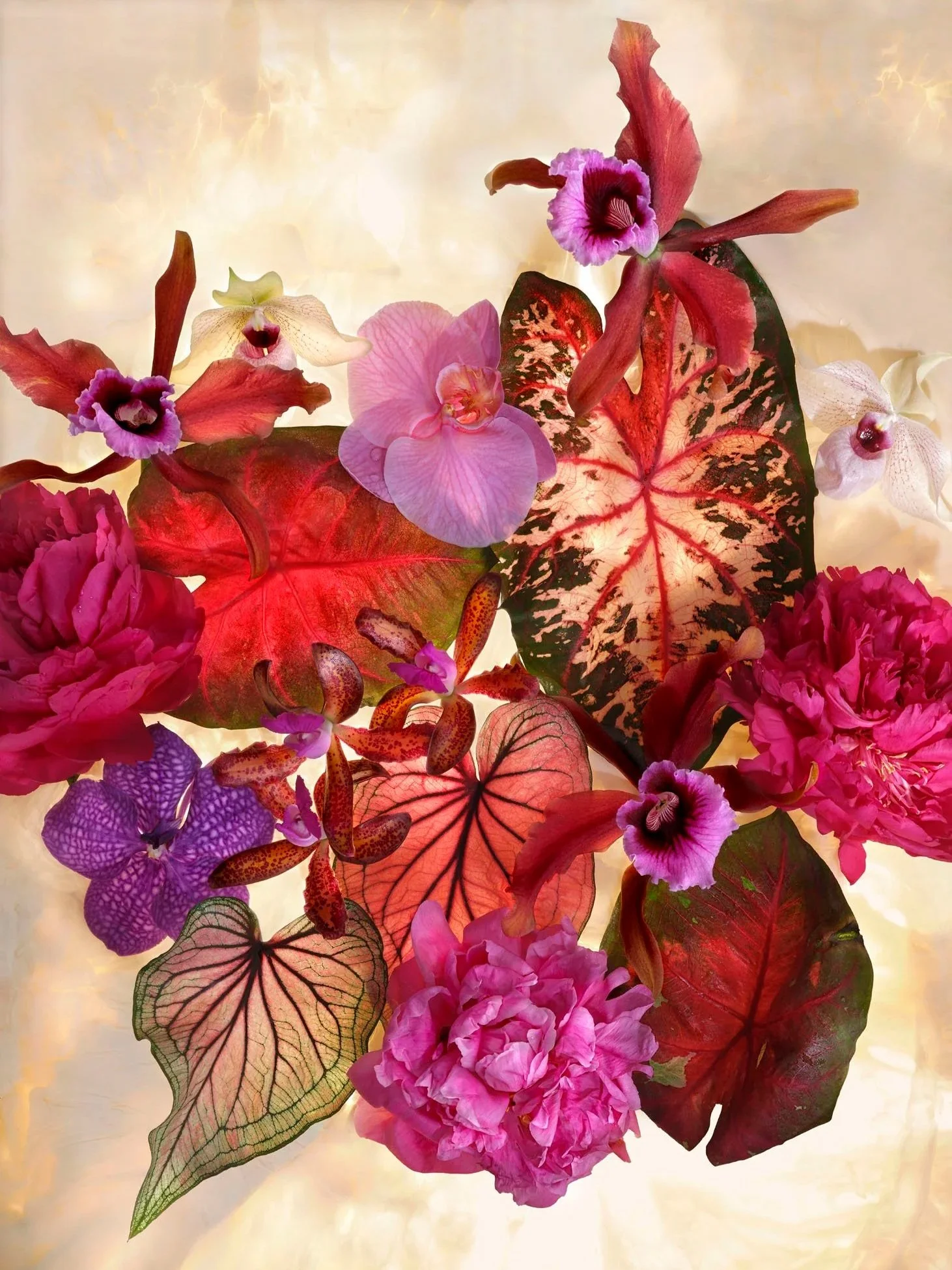 Colourful flower arrangement shot by Gary Heery