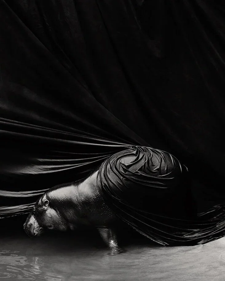 Pygmy wrapped in a black tapestry taken by Gary Heery
