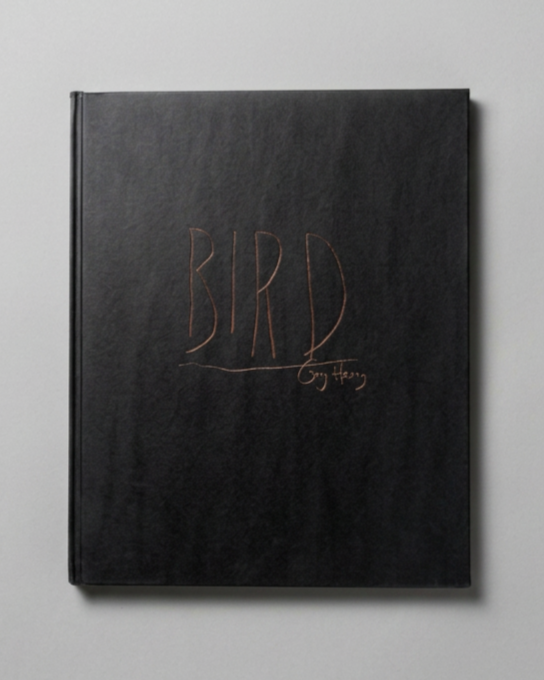 Cover image of Gary Heery's Bird book