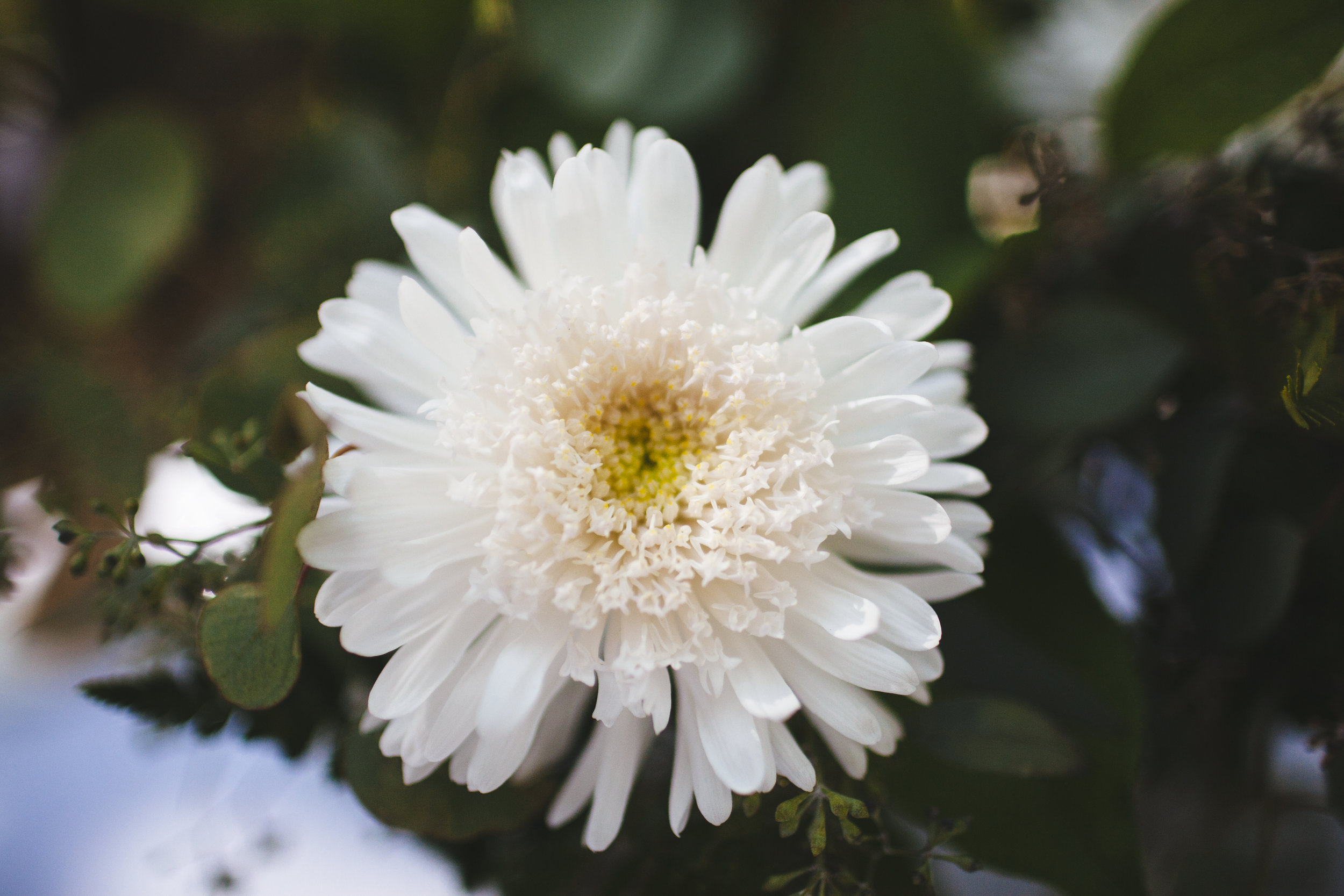 wedding__0043.jpg