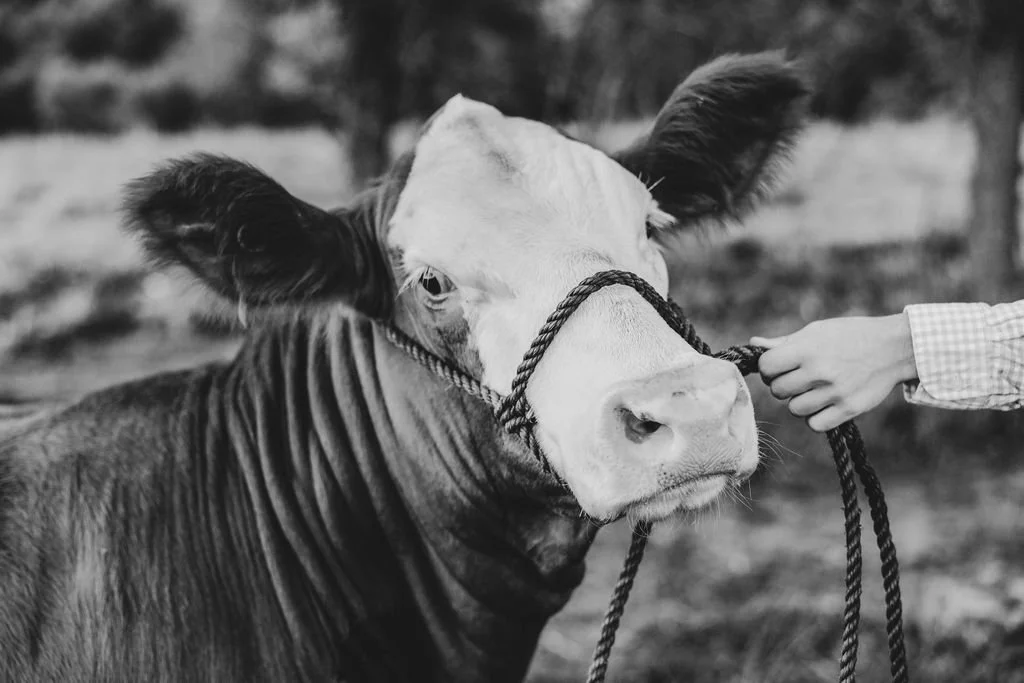 beck-bw-119.jpg