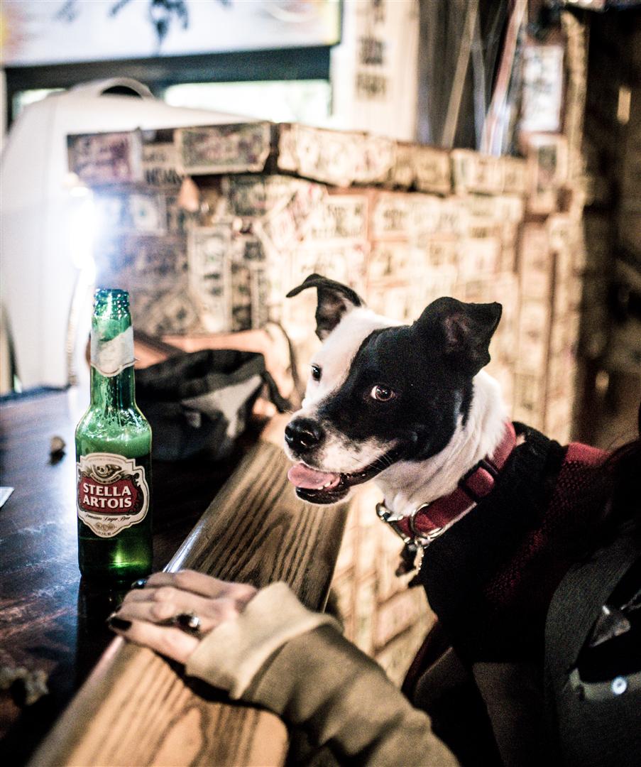 Tango's First Beer