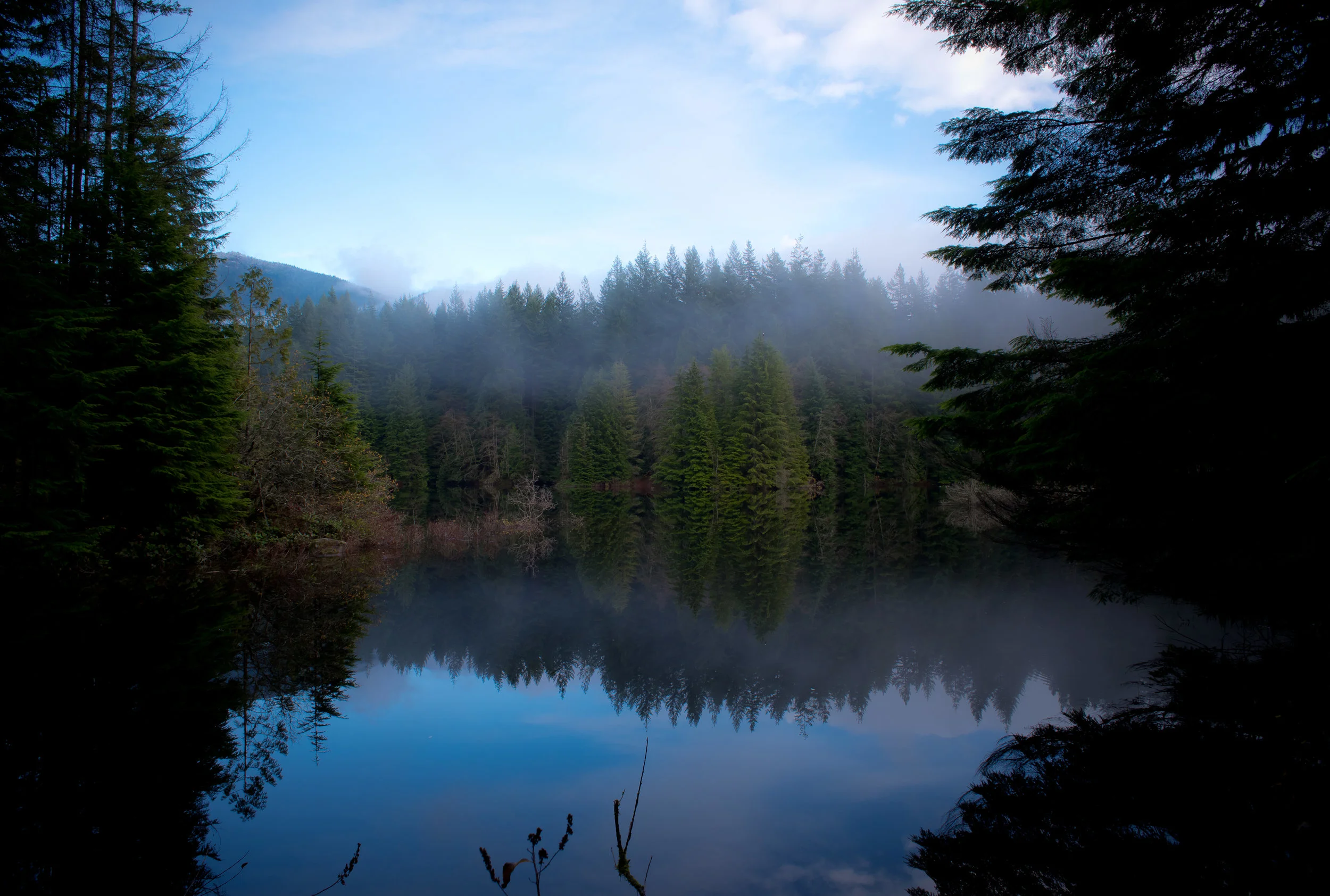 DSC_4459.jpg