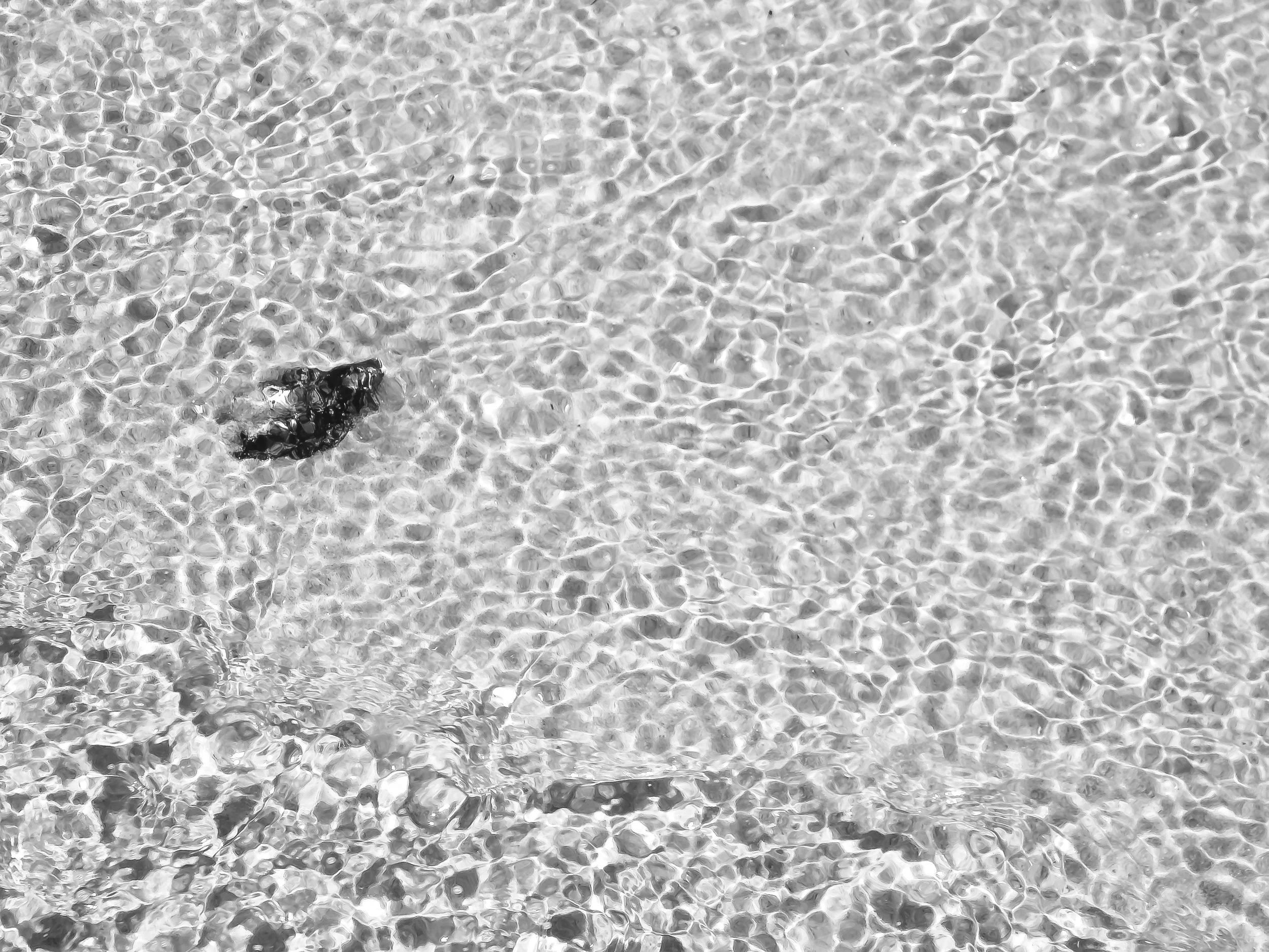 ShellWaterWave_1 copy copy.jpg