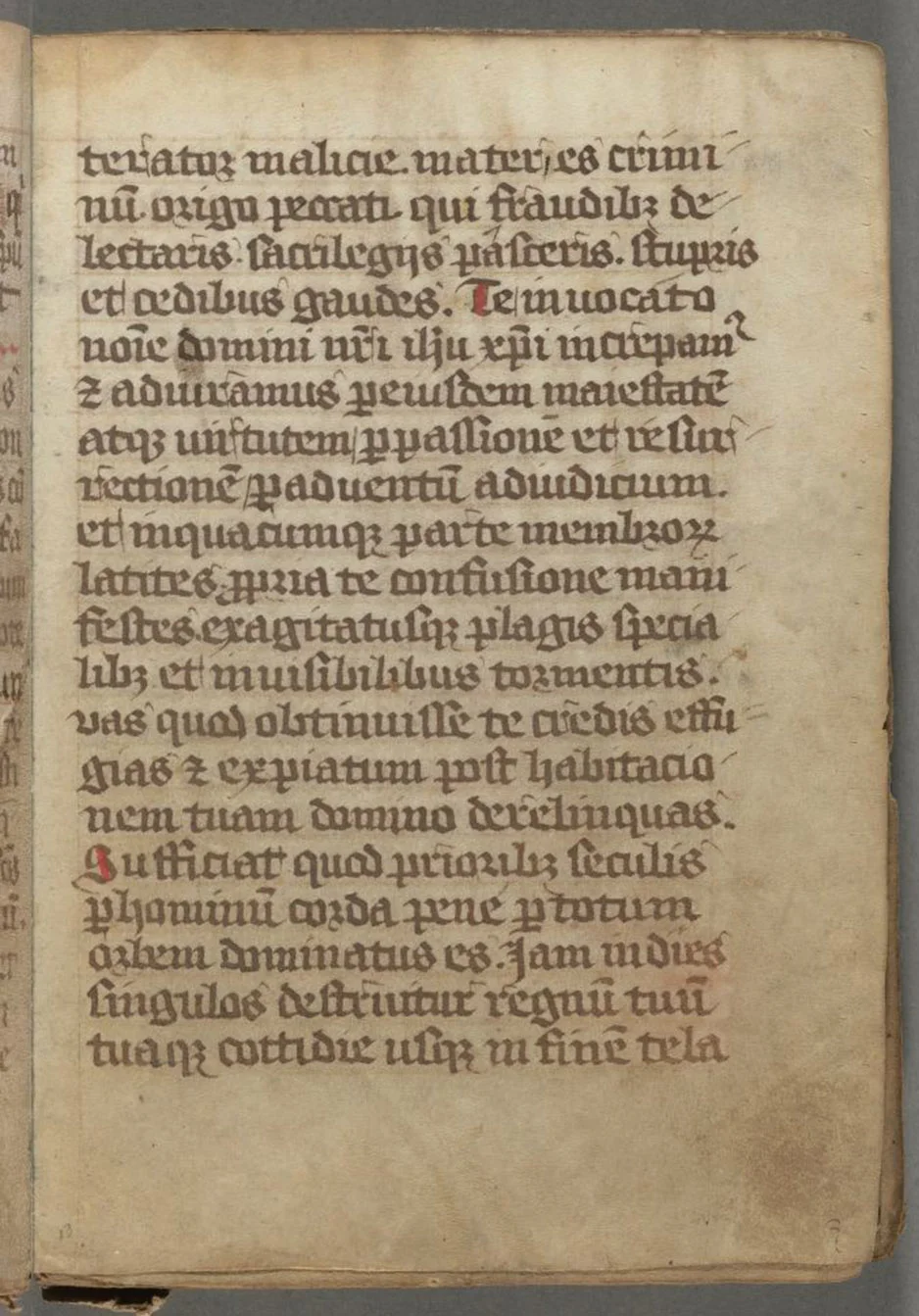 17076927.jpg