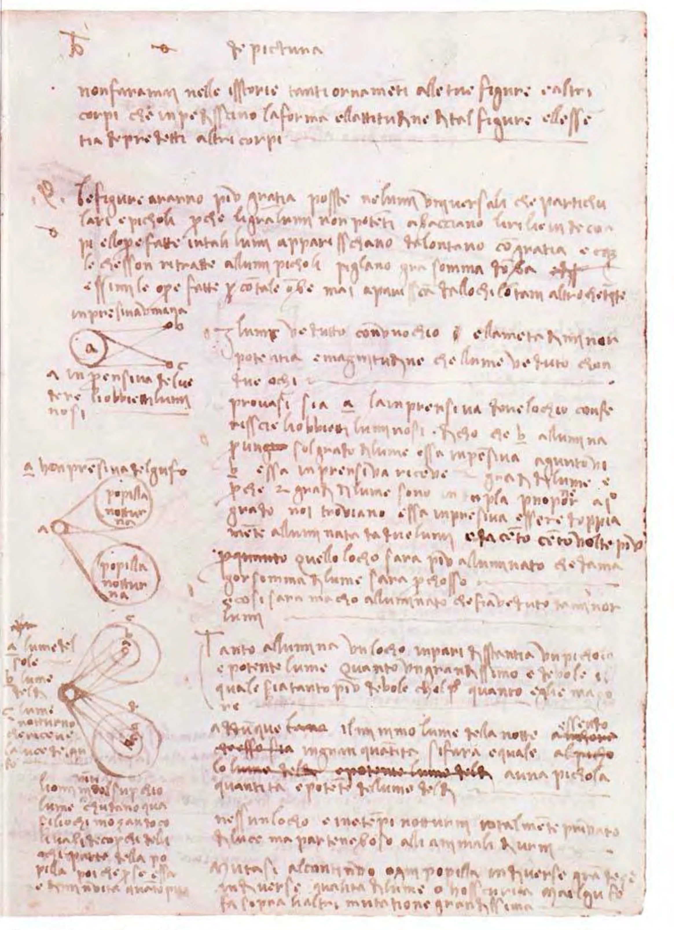 Codex_Madrid_II_flipH-55.jpg