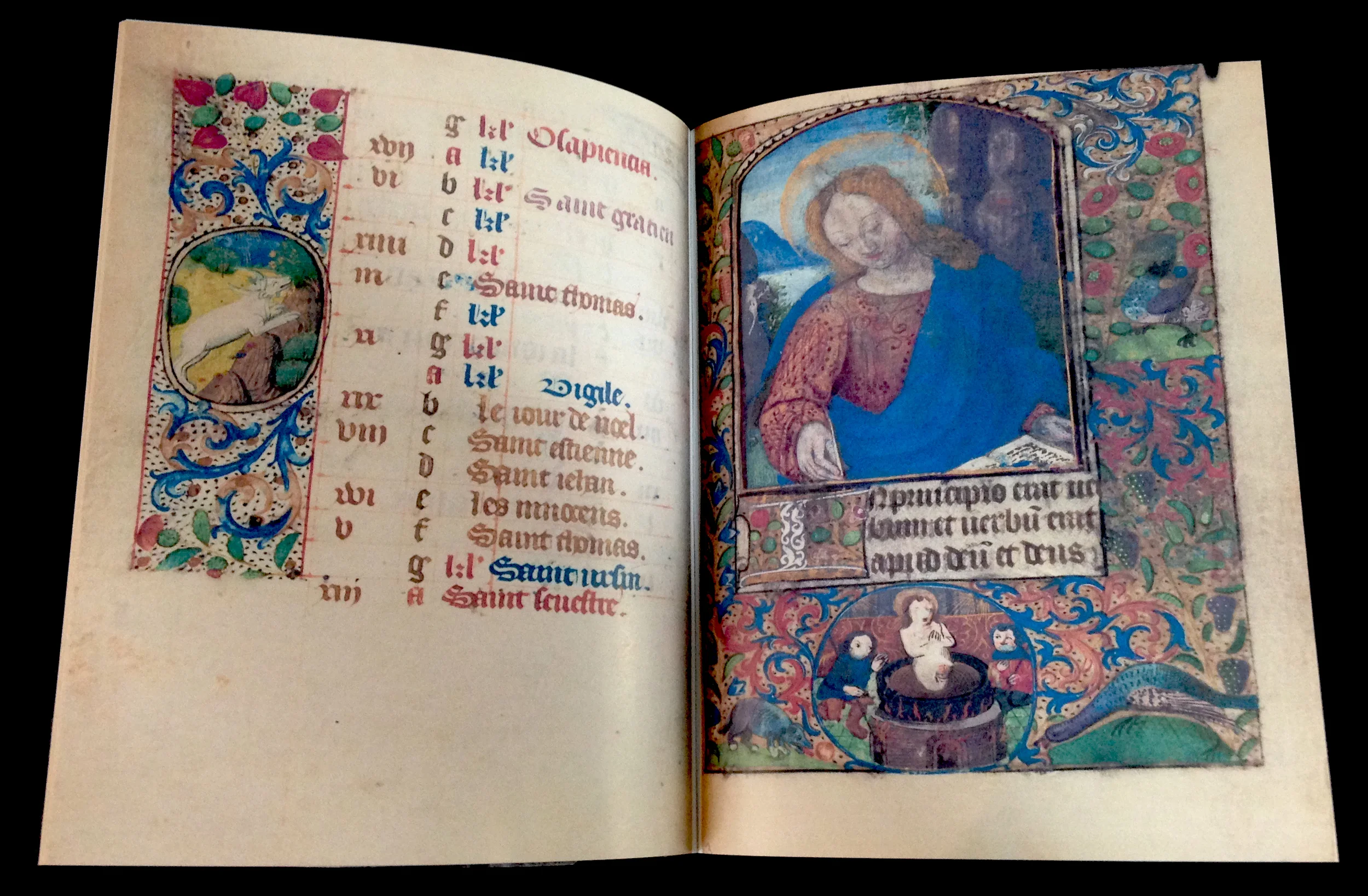 photo (14).JPG