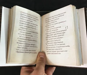 Stonyhurst Gospel / St Cuthbert Gospel, Facsimile — A. P. Manuscripts