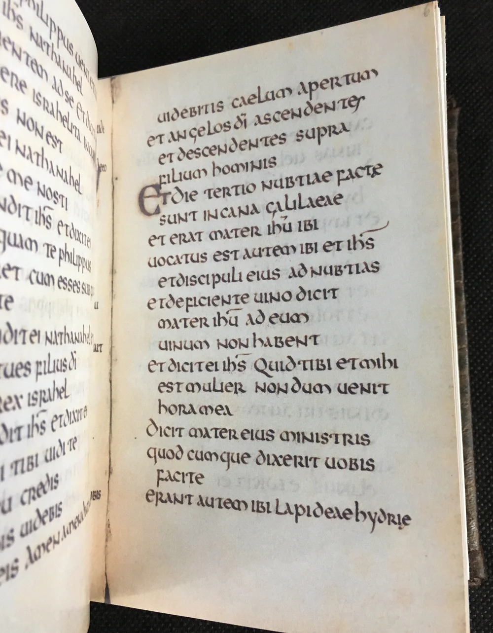 Stonyhurst Gospel / St Cuthbert Gospel, Facsimile (Copy) — A. P.