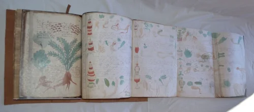 voynich 1.jpg