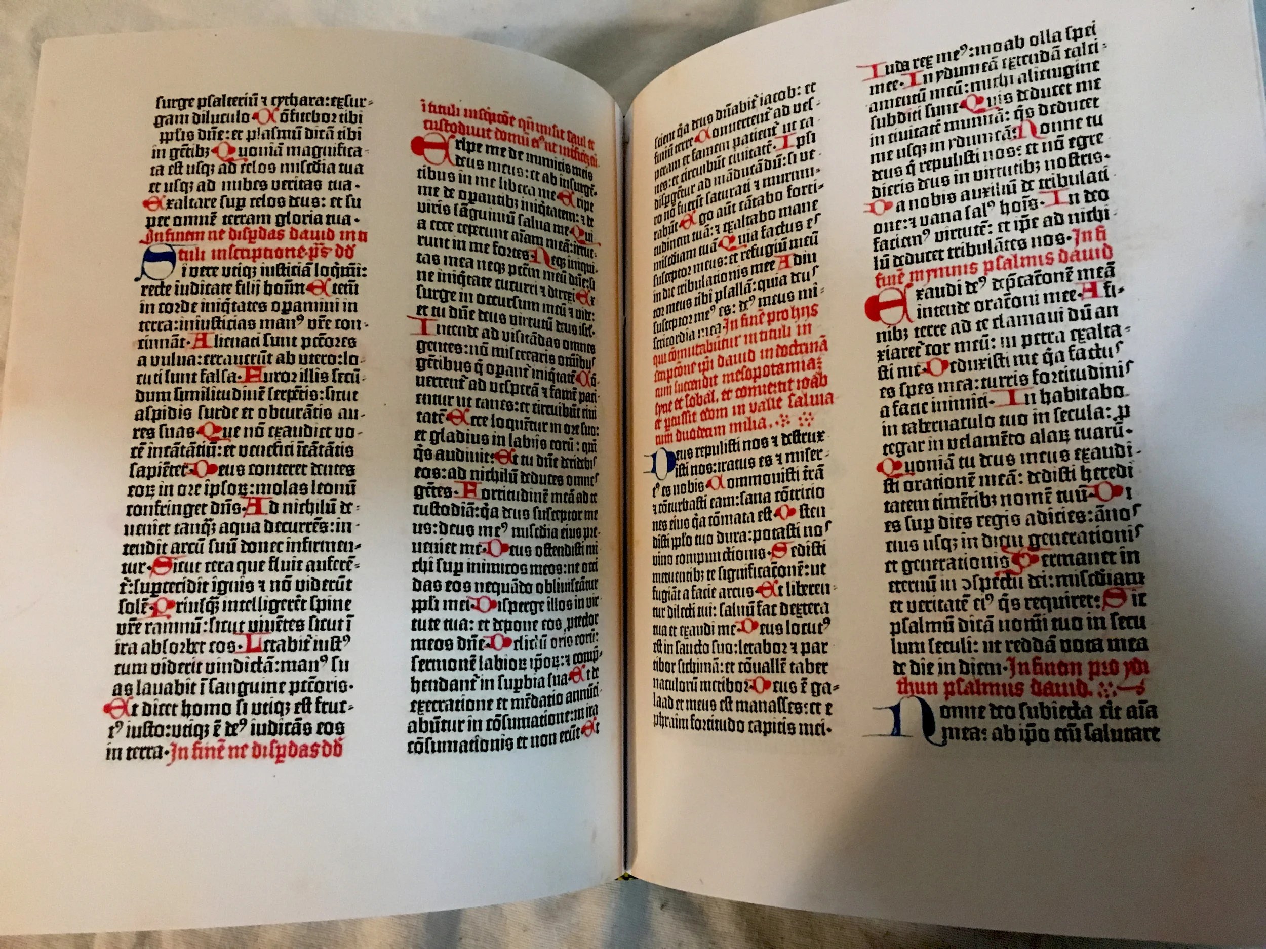 IMG_3841.JPG