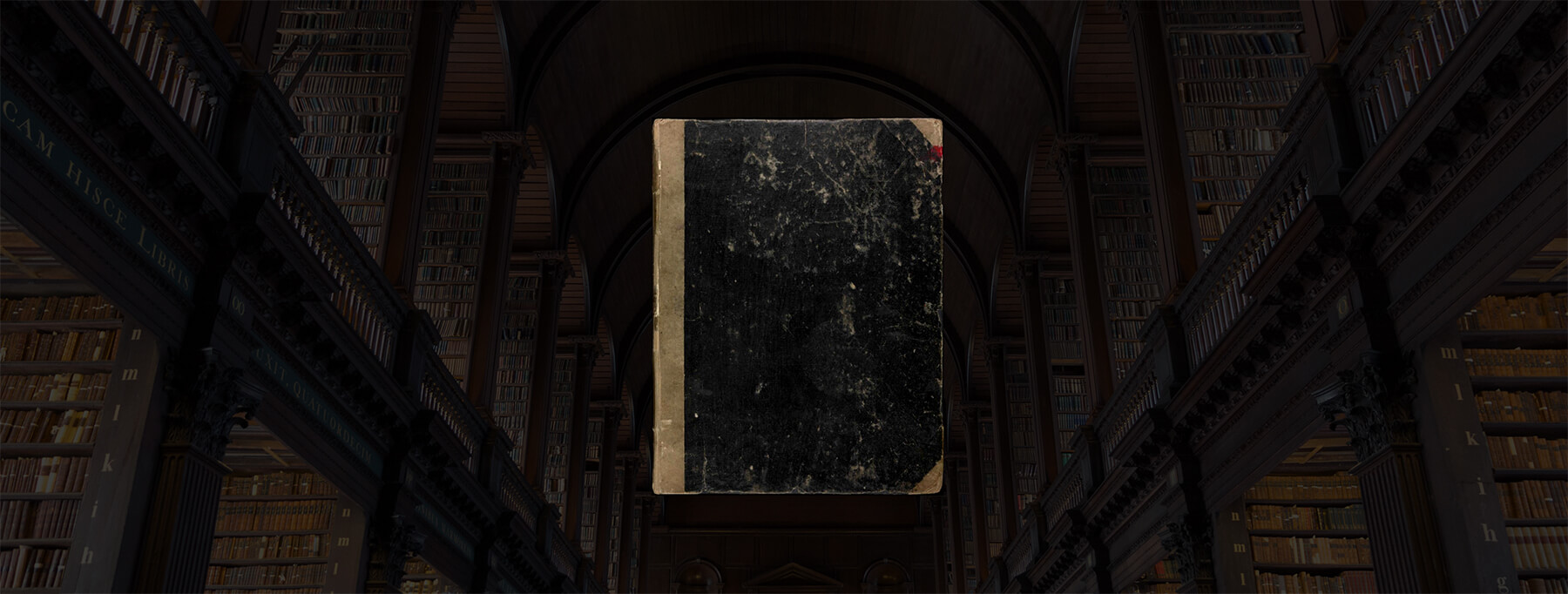 Digital Library Banner.jpg