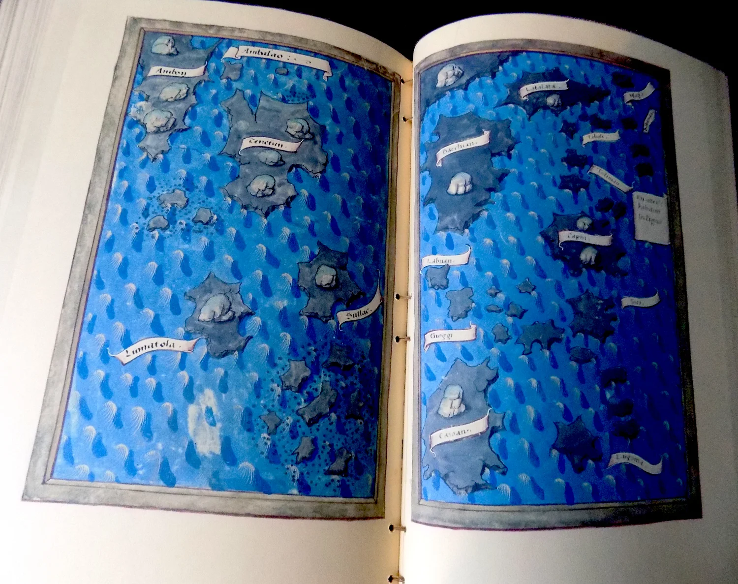 Ferdinand Magellan's Journal, 1522