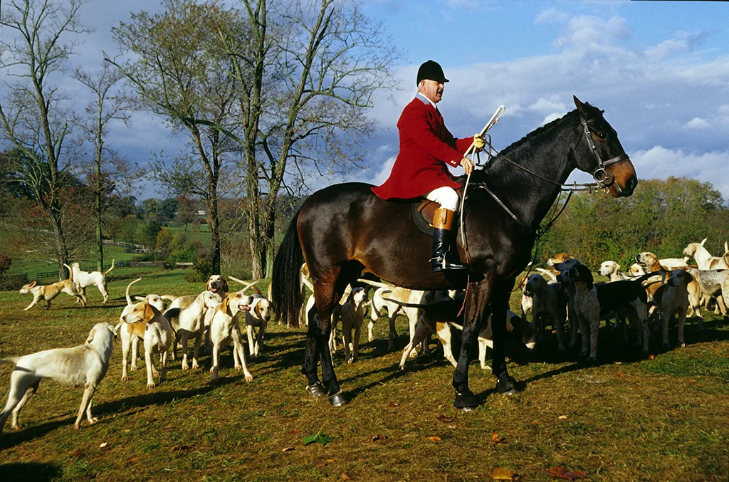Tally-Ho.jpg