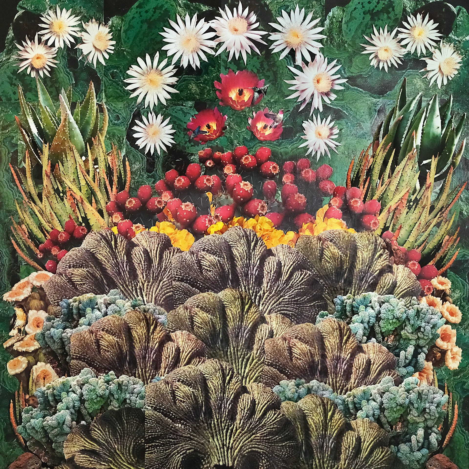 Sylvia Feliz Sewell - Future Perfect