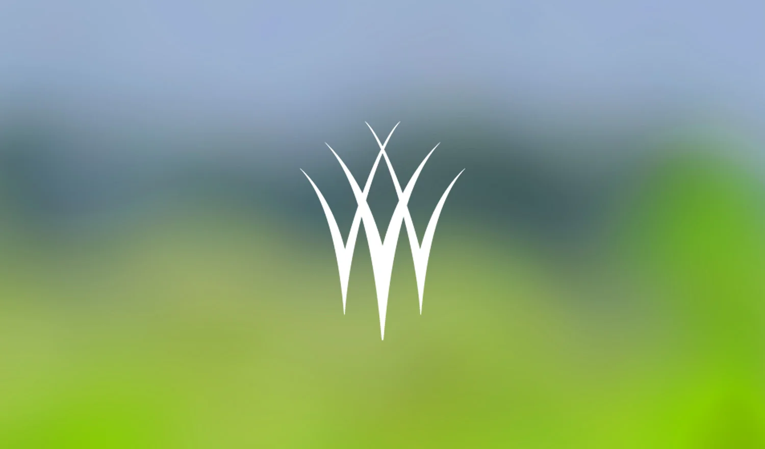 The Wetlands Initiative