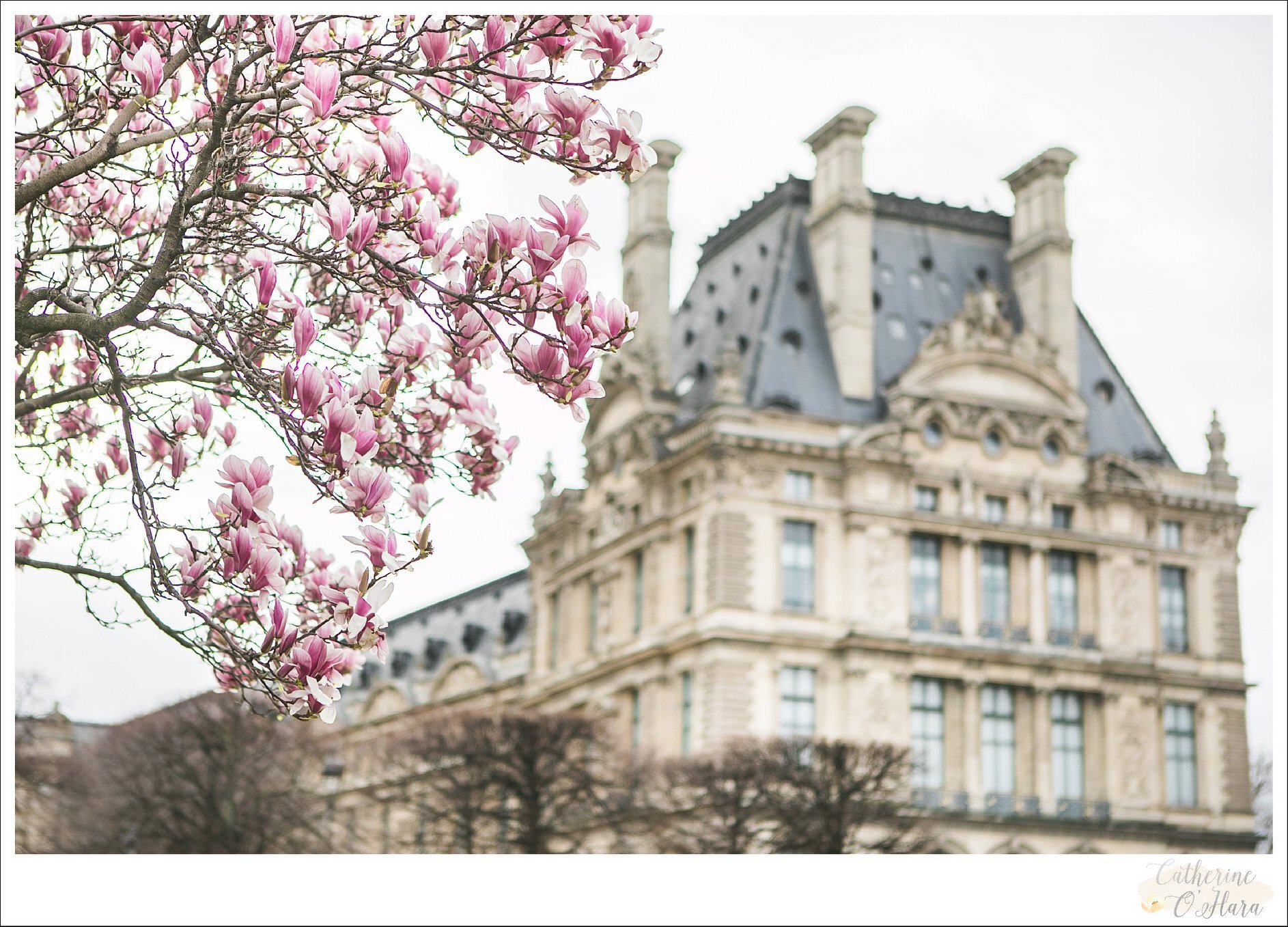 english speaking wedding elopement engagement proposal photographer paris france 98.jpg