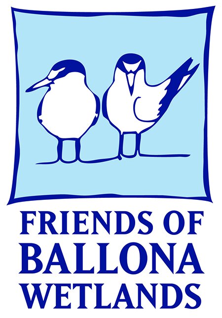Friends of Ballona Wetlands