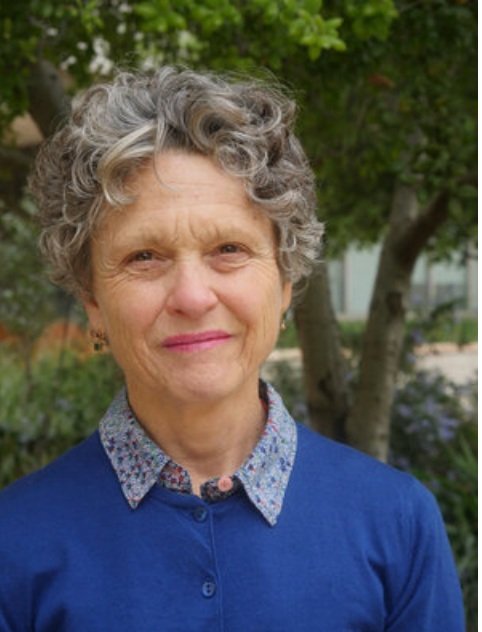 Stephanie Pincetl