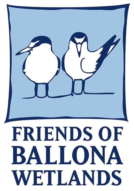 Friends of Ballona Wetlands