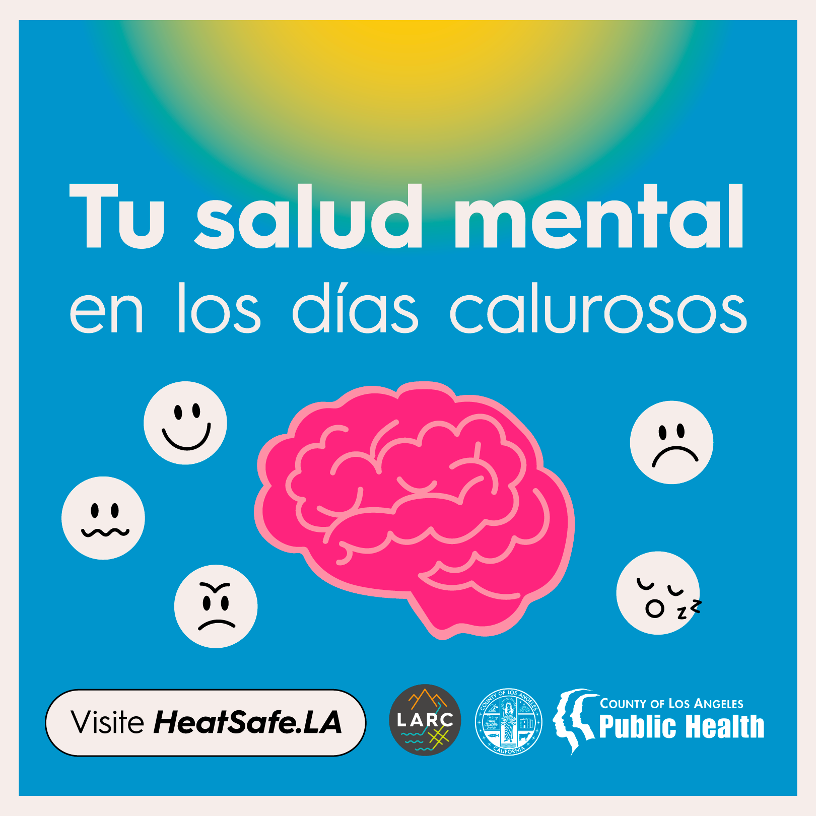 Semana 3 Riesgos para la salud mental - 01