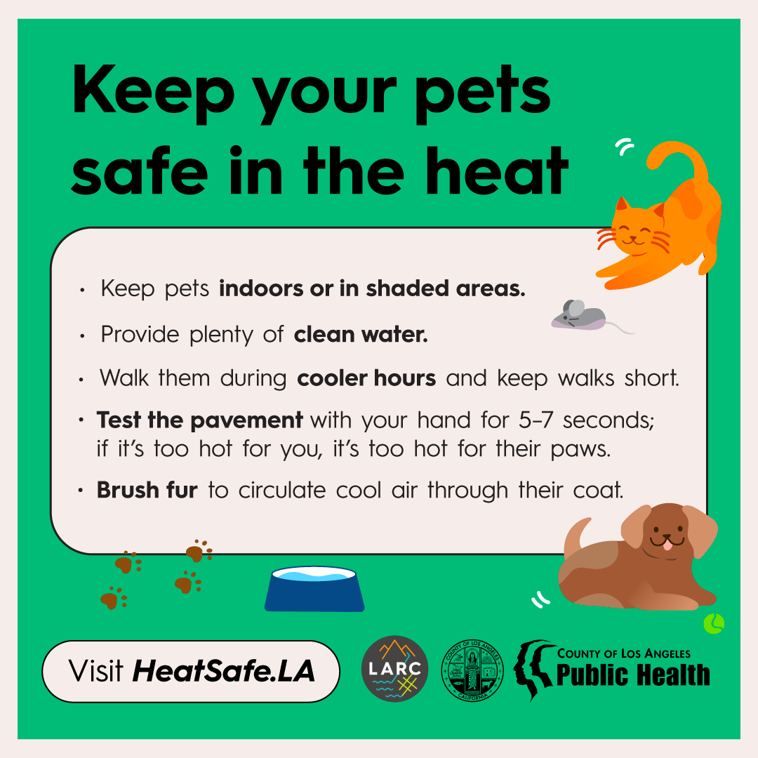 Week 6 Tips for Pets - 01