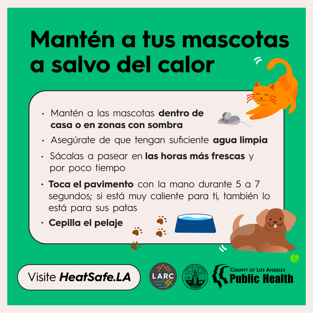 Protecta sus mascotas