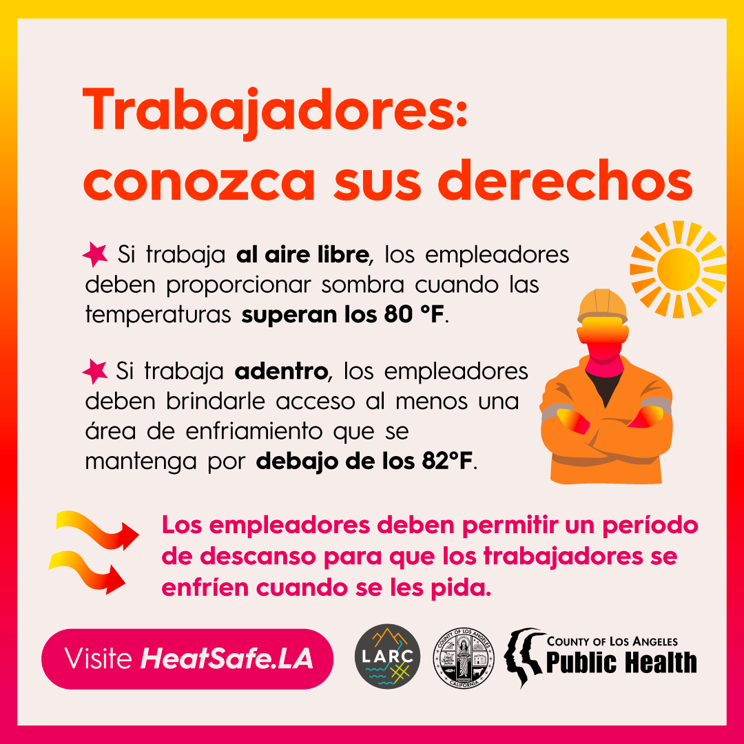 Los trabajadores: conozca sus derechos