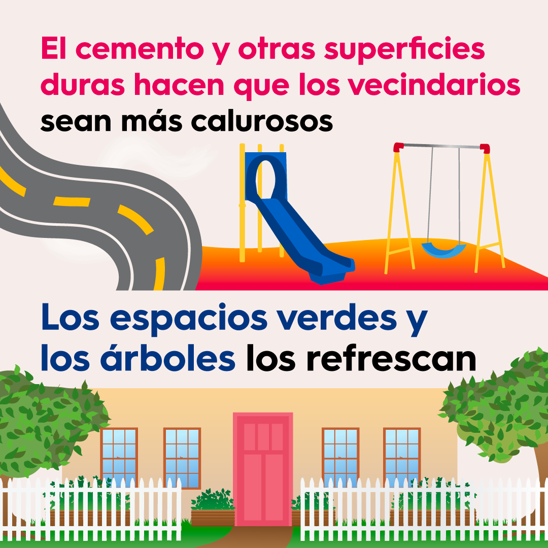 Semana 15 Calor en Nuestro Vecindario - 02