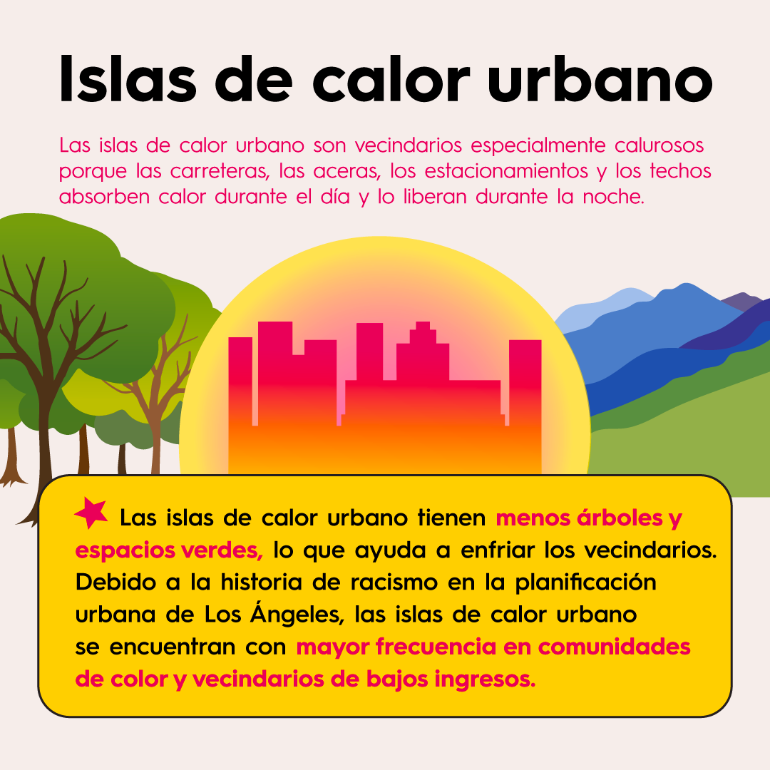 Semana 15 Calor en Nuestro Vecindario - 03