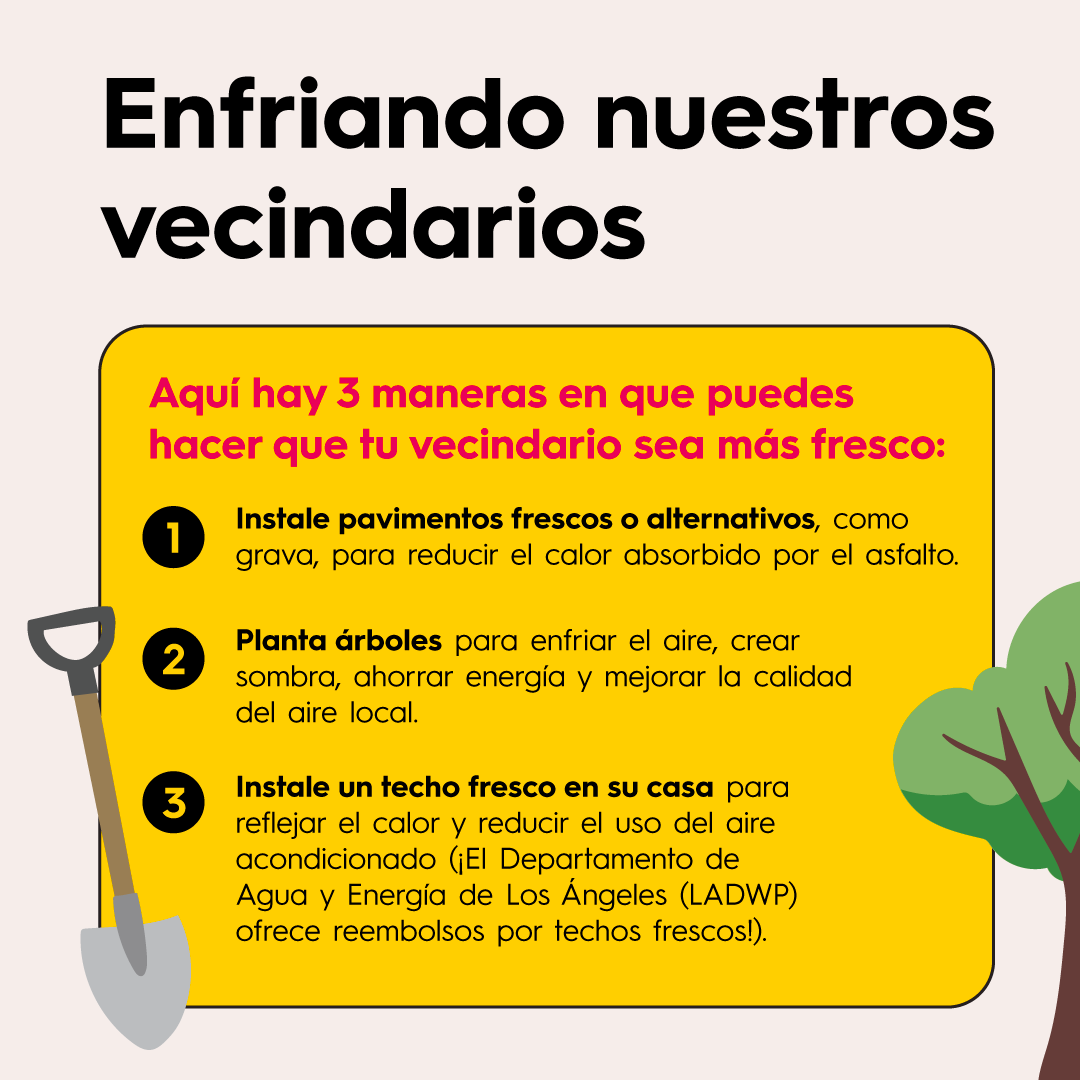 Semana 15 Calor en Nuestro Vecindario - 04