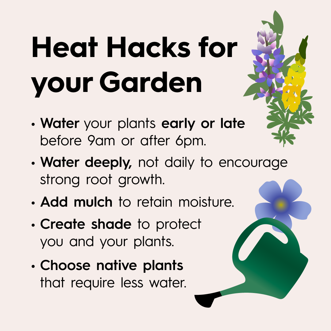 Week 16 Heat-Resilient Gardens - 02
