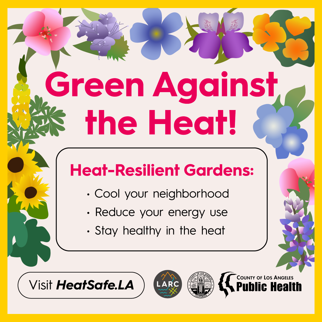 Week 16 Heat-Resilient Gardens - 01