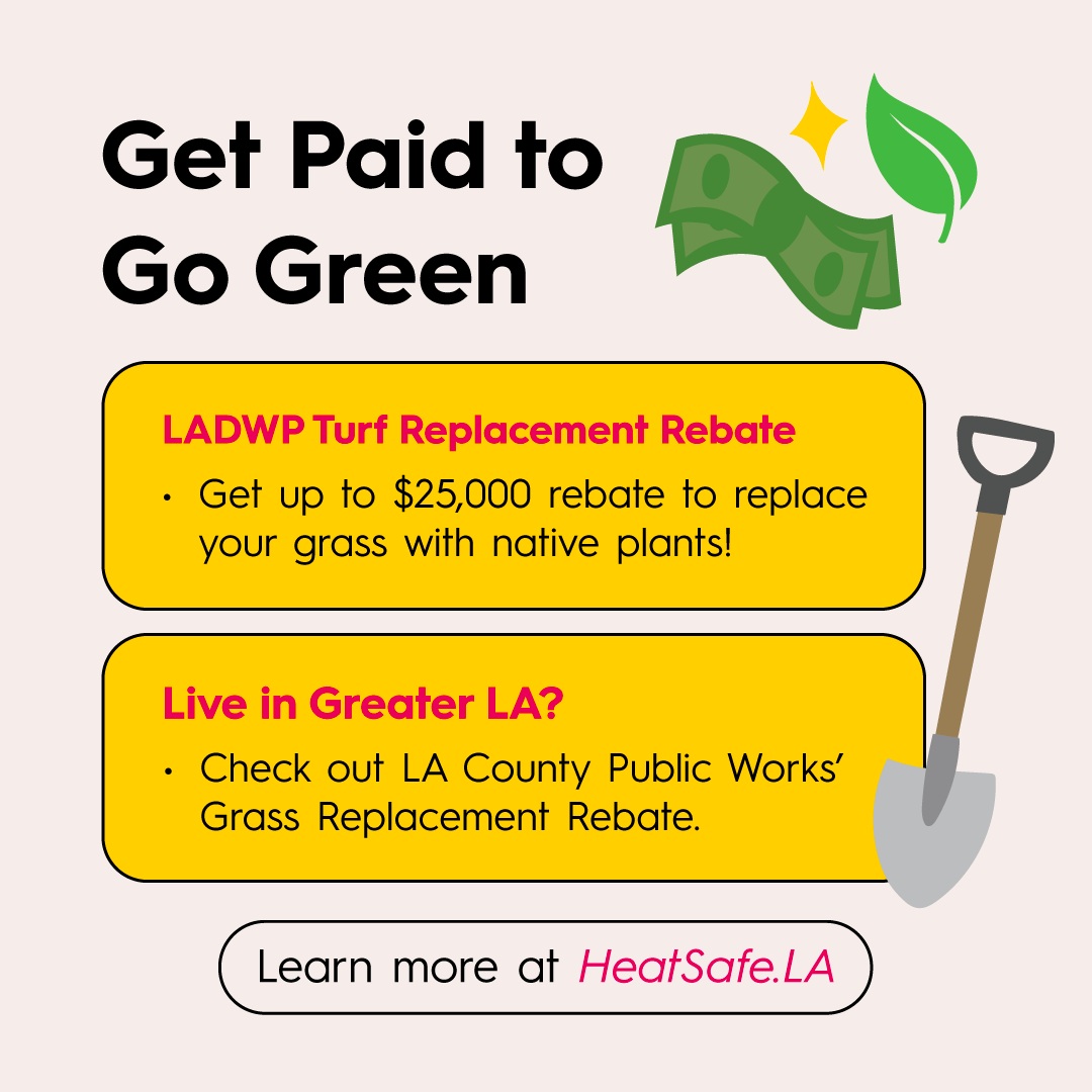 Week 16 Heat-Resilient Gardens - 03