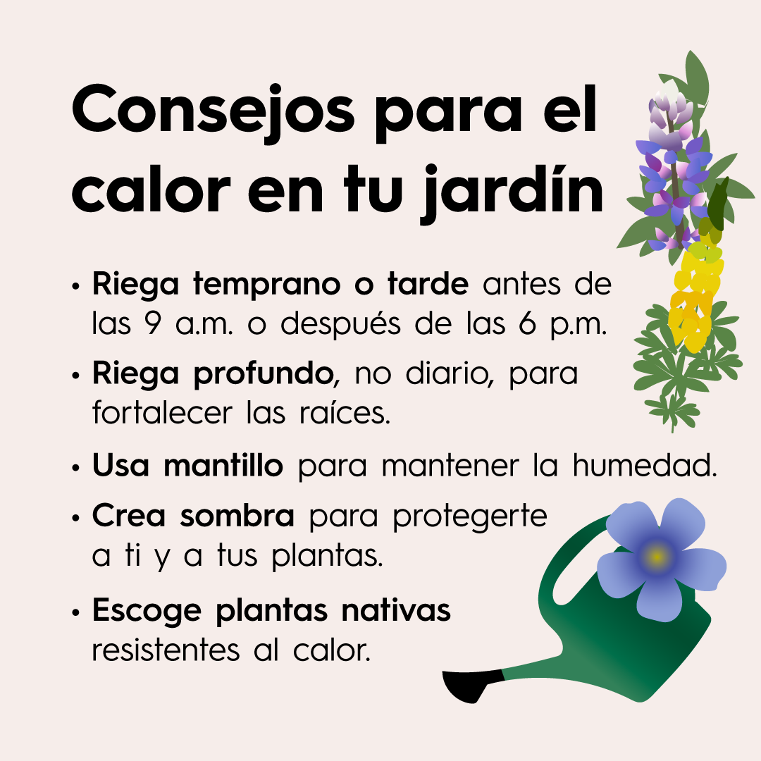 Week-16-Gardens-Spanish-Square-Final_02.png