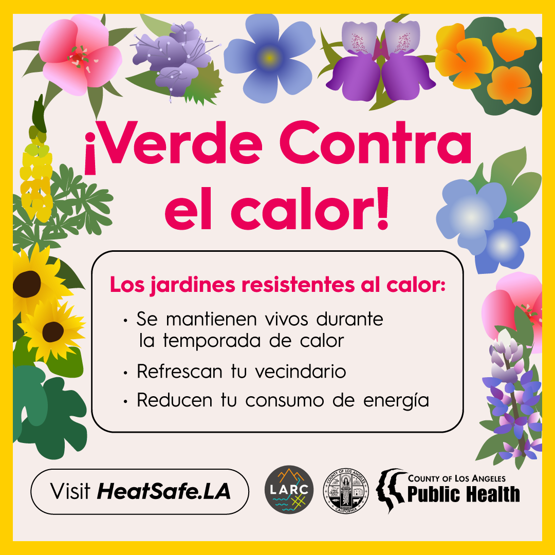 Week-16-Gardens-Spanish-Square-Final_01.png